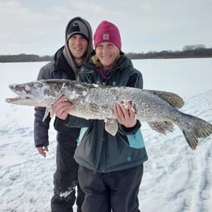 Meet your Posher, Shane